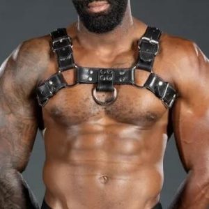 Bulldog Chest Harness For Men Black bulldog body harness bulldog harness BDSM bondage rope harness suspension bondage harness